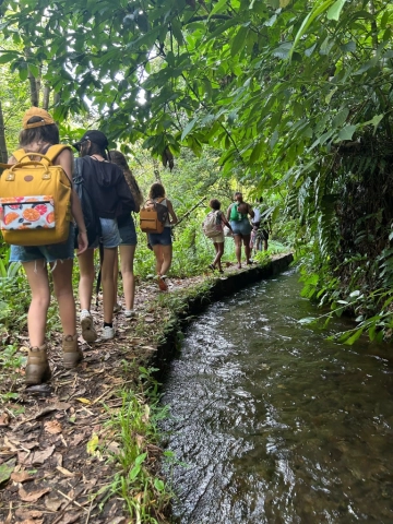 roche paerma - canal des esclaves roche paerma - canal des esclaves
