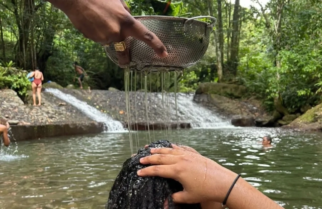 shampoing naturel shampoing naturel